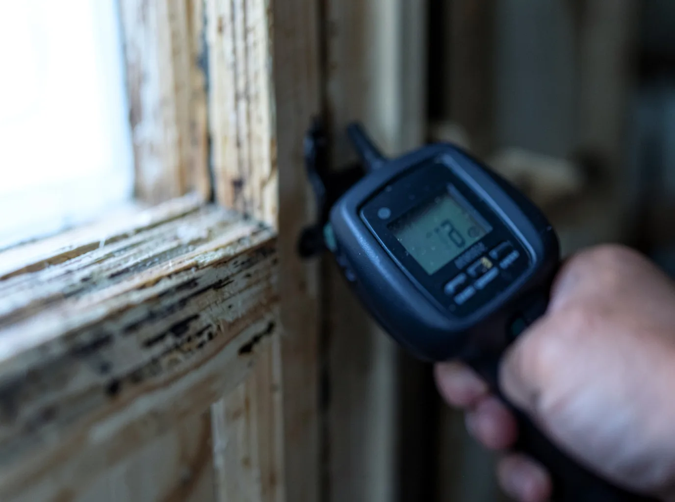 Moisture Inspection And Documentation in Hamersville, OH